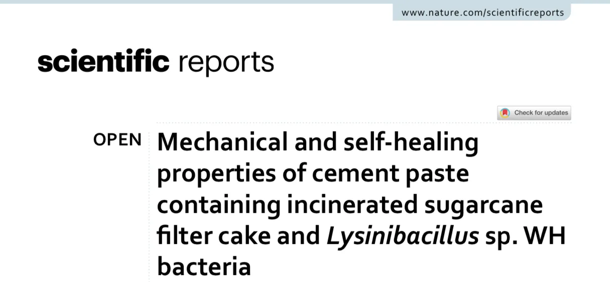 Mechanical and self-healing properties of cement paste containing incinerated sugarcane filter cake and Lysinibacillus sp. WH bacteria